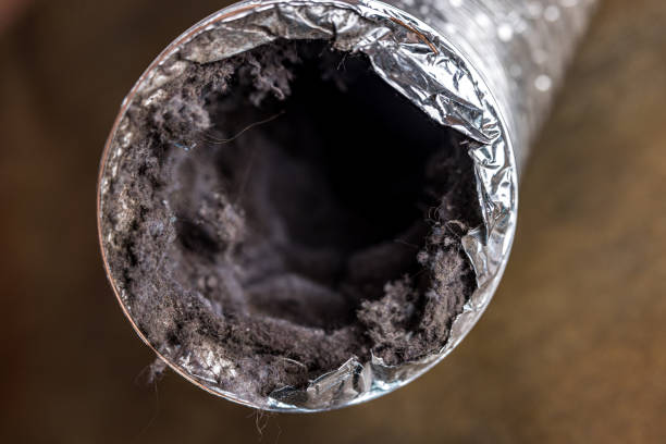 Best Professional Duct Cleaning Services  in Trail Creek, IN