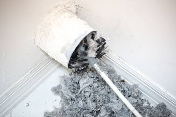 Best Home Air Vent Cleaning  in Trail Creek, IN